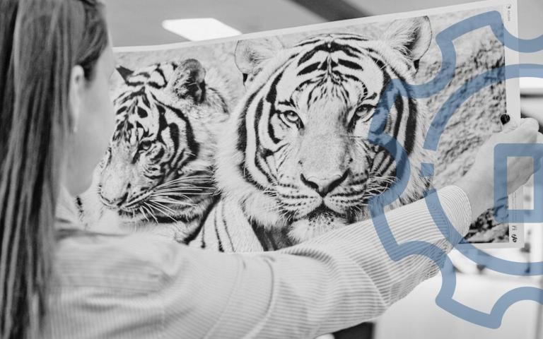 The best printers for pay for print shops