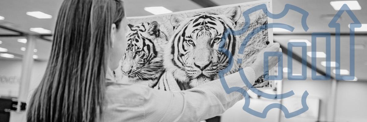The best printers for pay for print shops
