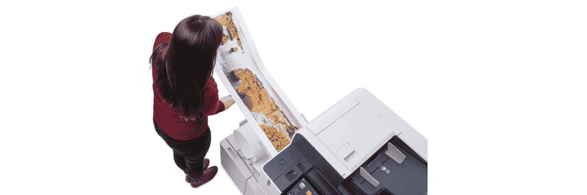 Person looking at a color print made from the Xerox AltaLink C8135