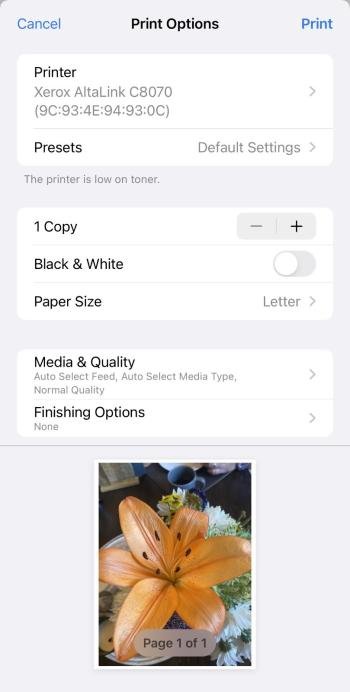 How Do I Print From My Phone? (Instructions)