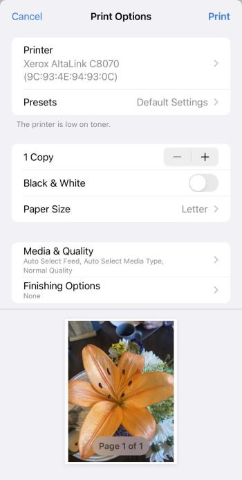 Screenshot of Apple AirPrint on iPhone